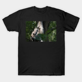 Life in a tree T-Shirt